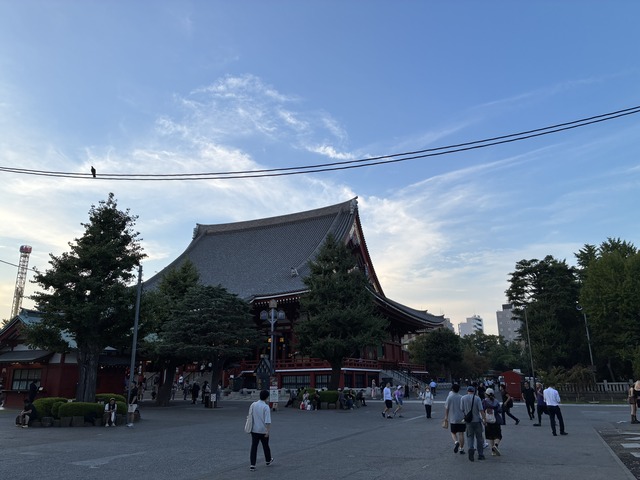 78BE94BD-05B0-4D9F-99D9-77B673E618BC