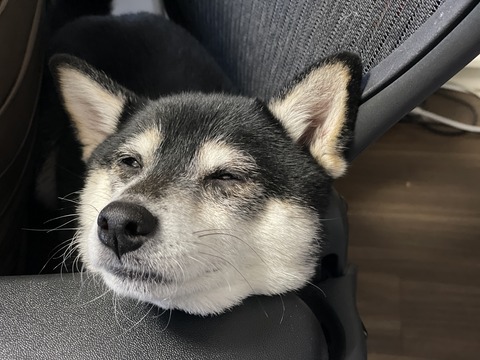 冬至の焼き鮭定食と黒酢スープ