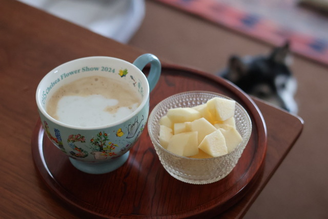 8CB6EA16-198A-4F93-85E3-9A326AE23EA8