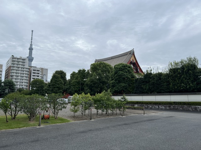 C6D92546-B520-4F39-ADE4-C92DBE18E24E_1_102_o