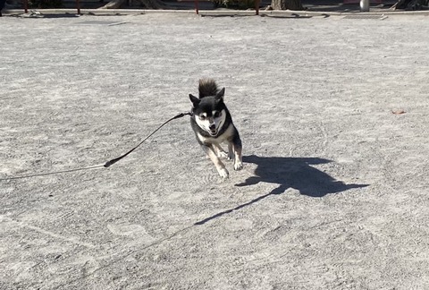 1D580BD8-0B05-4CA6-9081-888D4BCCBD64