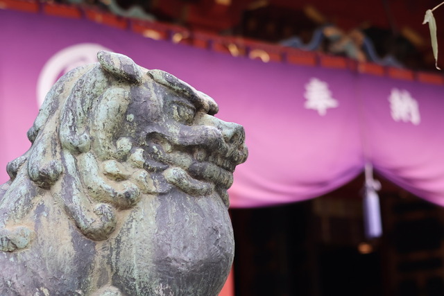 73850F40-EAA1-4004-BD19-D90790590F69_1_105_c