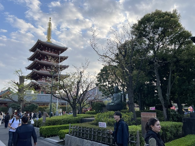 E615F988-77B0-45E7-980C-383C048B1D33_1_105_c