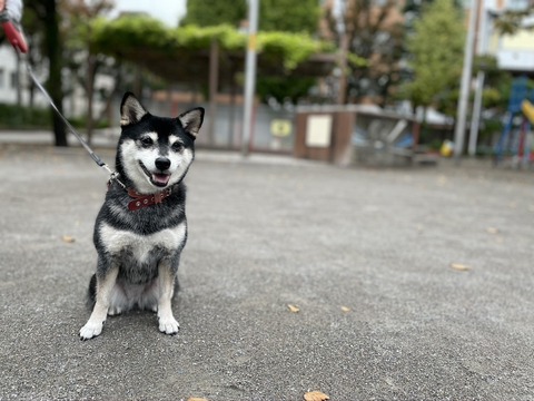 57C3106E-D544-4AF6-A528-04C181E0CCE4_1_105_c