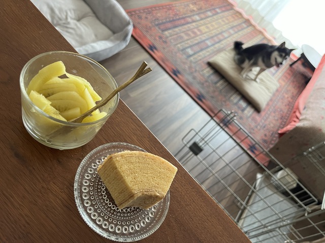 C45F5C5F-C2DE-4E8E-AB45-85B2141CE65A_1_201_a