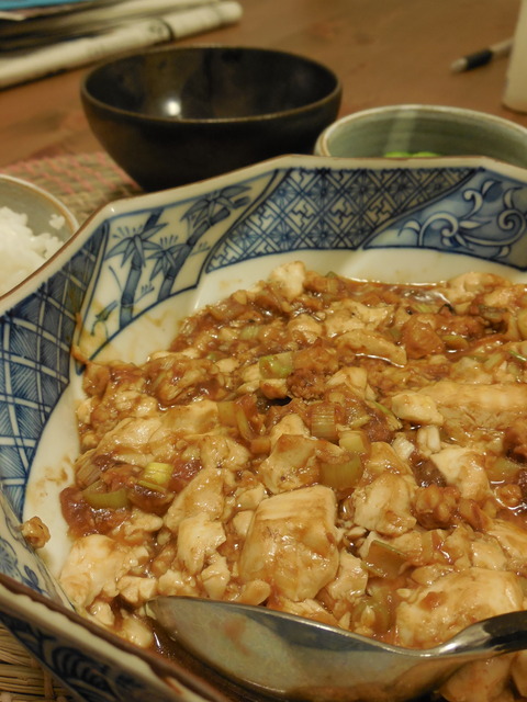 DSCN0102