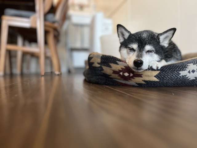 4D47FCC7-ED5F-48AD-BB3A-63AA50B55279_1_105_c