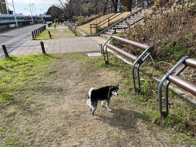 39986AEB-4313-4077-B1CC-21C980B04932_1_105_c