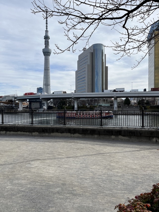 82F17A01-D94D-4FCF-9039-3435F6978413_1_105_c