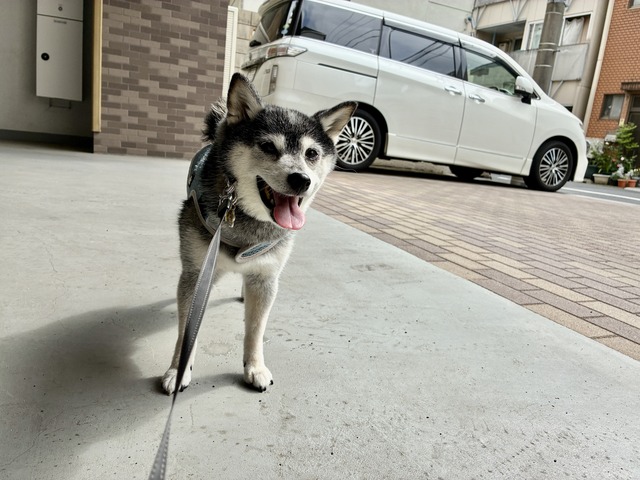 8CFEE4F0-F447-424B-8355-6DBB573FB910_1_201_a