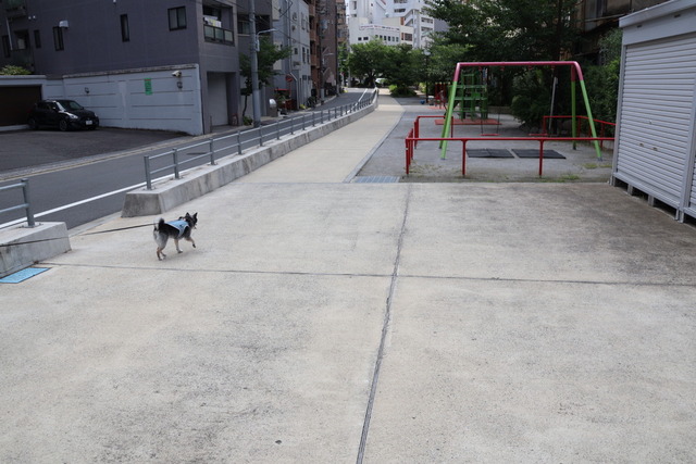 454AC4DB-3198-4252-A8B7-FDBD8D1E8CDB_1_105_c