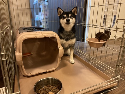 E92BEF9A-25BA-4EA1-97D1-28AF6463B448_1_105_c