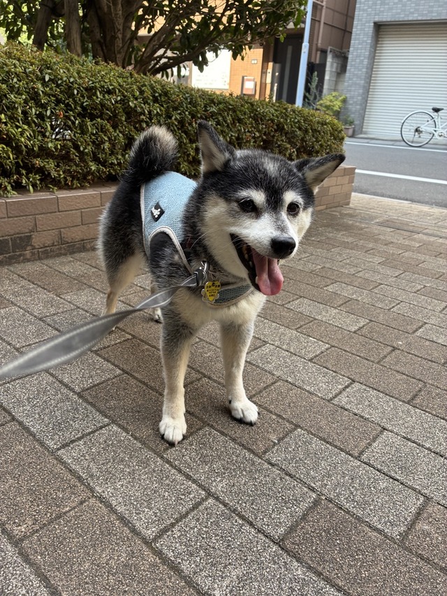 7B9EB93F-895C-40E6-8A24-1490158CB350_1_105_c