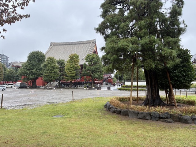 8F60A392-2862-418B-9BB6-37466FB07E74_1_105_c