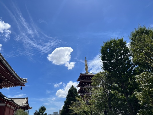 DEE8B774-C8DB-4F03-8C3C-78E1E9024143_1_105_c