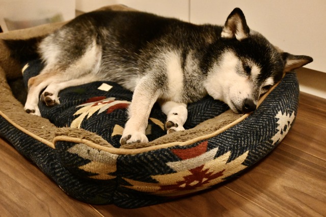 E45F1ED8-6E11-42E6-8AC3-1A94773665B8_1_201_a