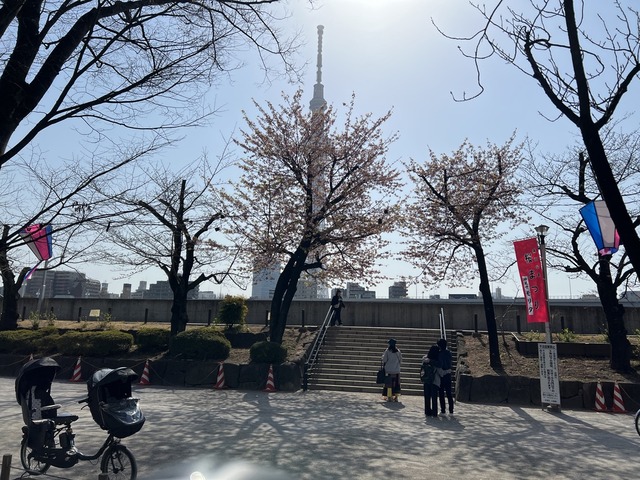 C786D3E1-3522-416C-A69F-7ED36D484248_1_105_c