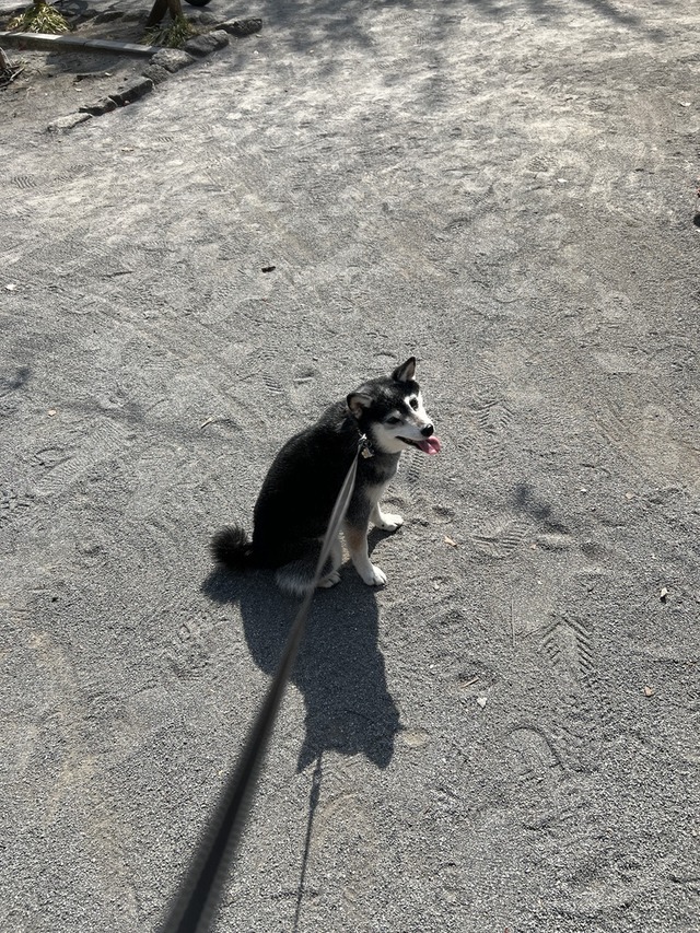 EEB2DA91-141B-4993-AB7F-07346AABBF35_1_105_c