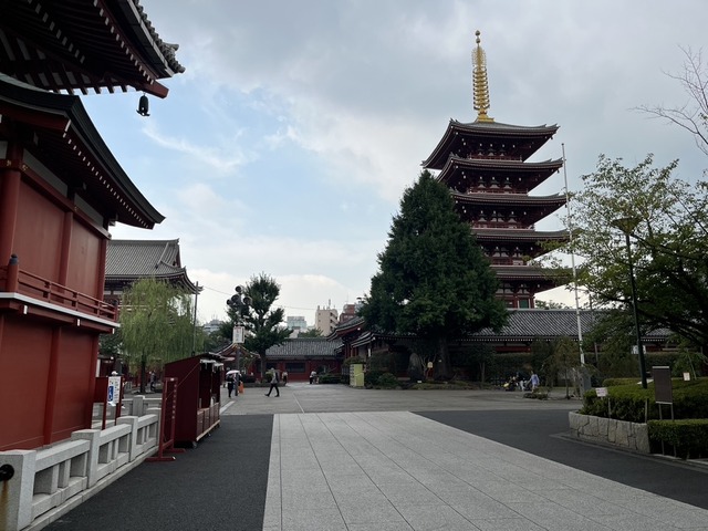 96AD2B5E-B8C1-4866-B032-451BD7974592_1_105_c