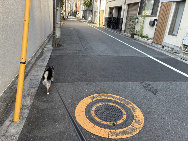 E05EFB54-85F3-4C51-8878-E06F169327FE_1_105_c