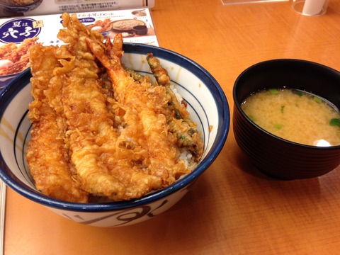 大江戸天丼とオルセーと豆柴ジーラの歯