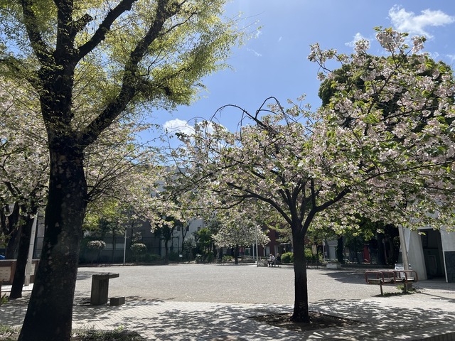 41C84F2A-4FE2-4D47-A486-8CF99457E798_1_105_c