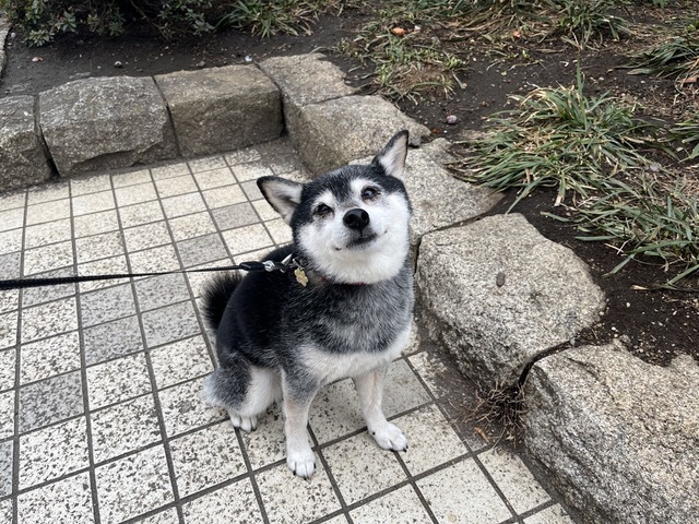 1FB3C672-B140-4D22-BA2A-FCC3F02FE8E4_1_105_c