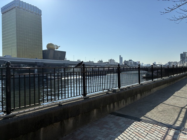 BDBCCB4B-97B8-435D-AA0B-50588750FC66_1_102_o