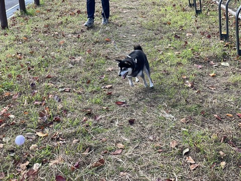 8B2D98C0-46DE-4702-A015-742D13A16CFF_1_105_c