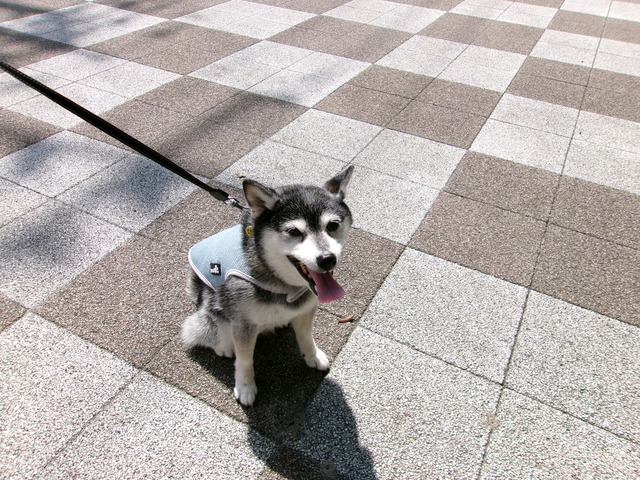 2E346557-91A4-4077-87AC-DACEC6392954