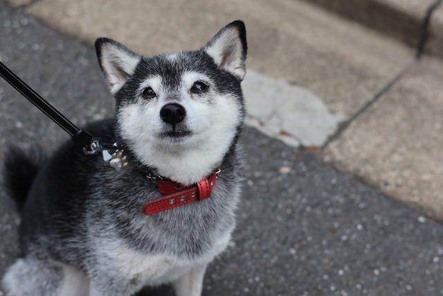 42D6EEA4-8C75-4E41-93E3-66BC10C0CB5A