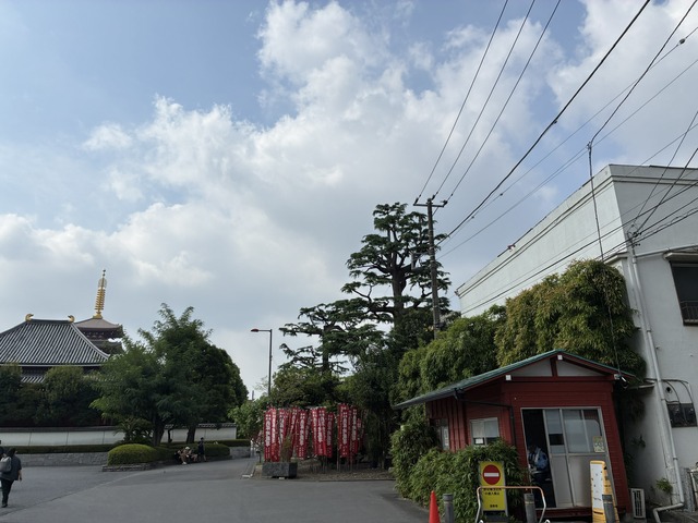 6DA611F1-AF49-4F78-8A87-6F1E9C7C77C2_1_102_o