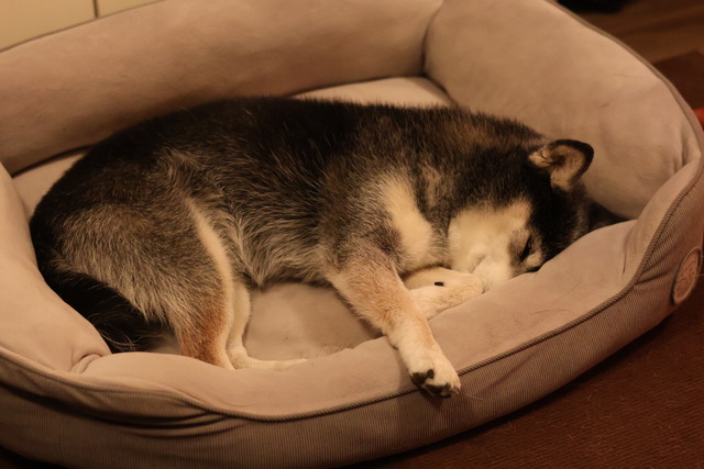 654619AE-30C9-4BB8-A121-DCD967472AA2_1_105_c