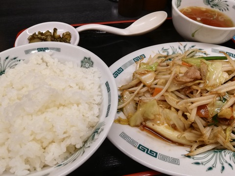 連日の日高屋とヒレカツとショーケン