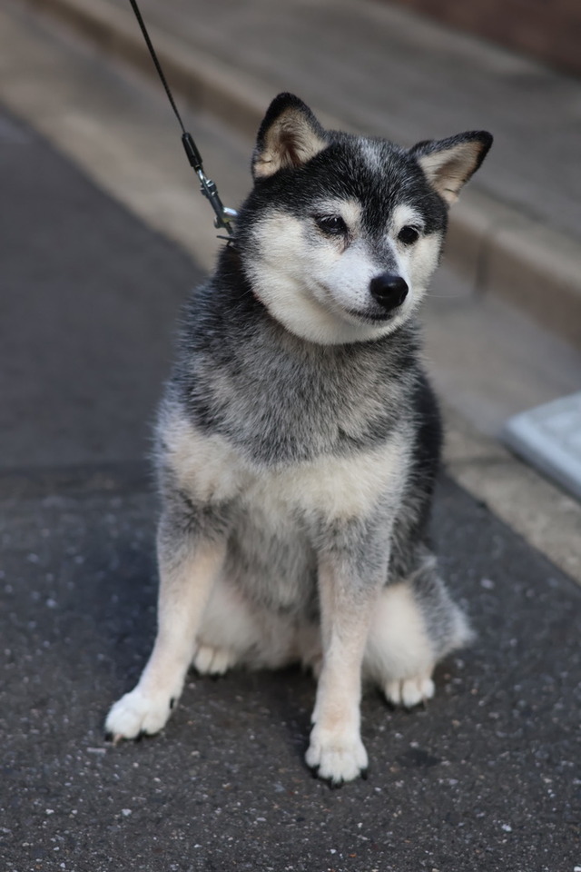 9968AFEE-9D74-4F54-B6CF-36EEF1023A79_1_105_c