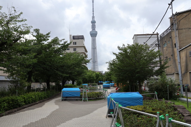 29701A62-7457-4429-B7D7-9EDA885C5FB2_1_105_c
