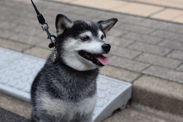 F03F848C-F446-4FA5-B108-D14E5DB22A55_1_105_c