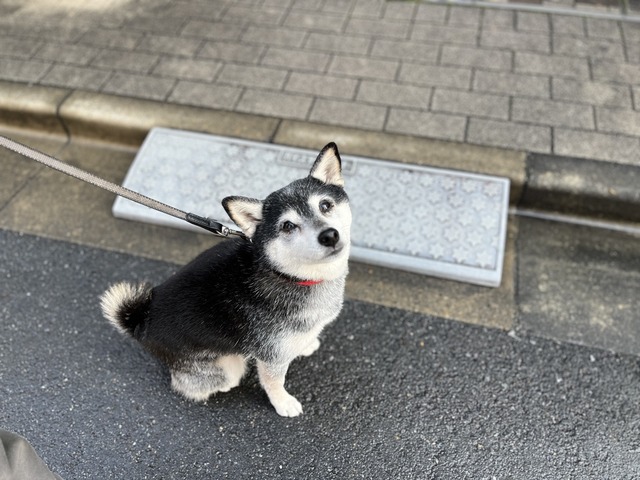 BA04E809-0D96-46AB-A984-DAD7B4D0FA4D_1_105_c