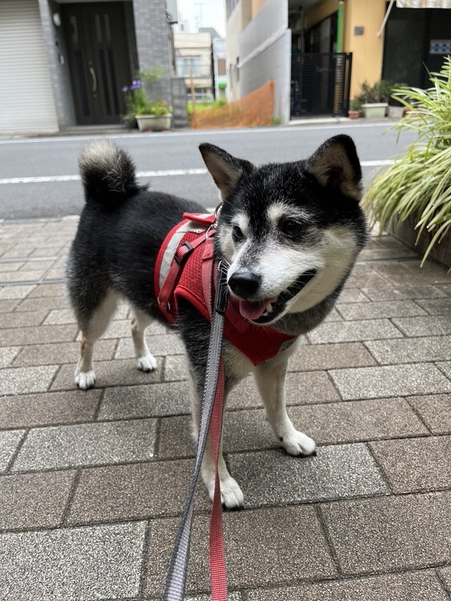 413936DC-98AE-4BB7-8472-CC9012AF21EC_1_105_c