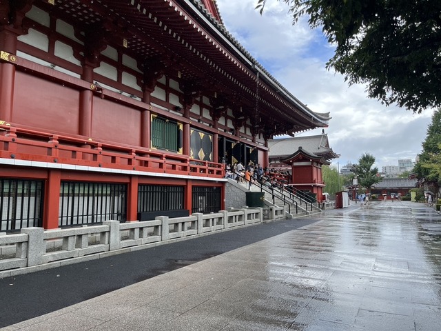 F49E1190-87D0-43D8-8764-E21D1CBD6E2F_1_105_c