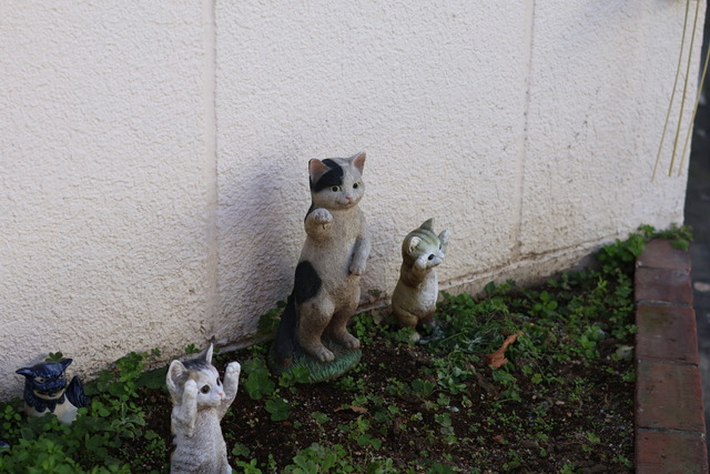 8BB8F290-BA87-4DF3-9331-B28D9E66989D