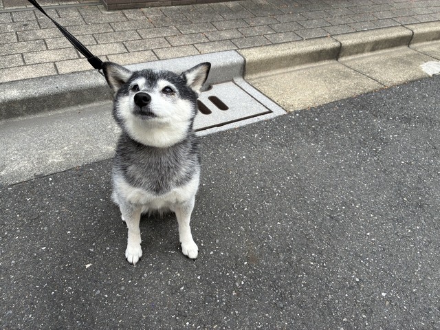 25DE0405-9516-45BA-9E29-2859B5298253_1_105_c