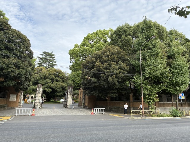 905CB597-9F33-402B-8200-A5F28F55ACAF_1_102_o