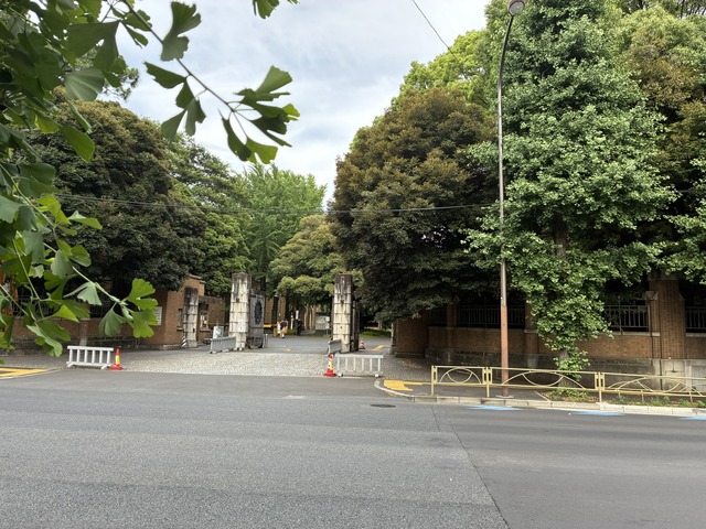 250AA81A-FADE-47BF-9A7F-EC7334DE3AF0_1_102_o