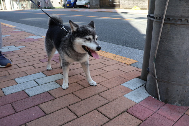 A1890C83-94A6-438C-87AD-9B52B9147F14_1_105_c