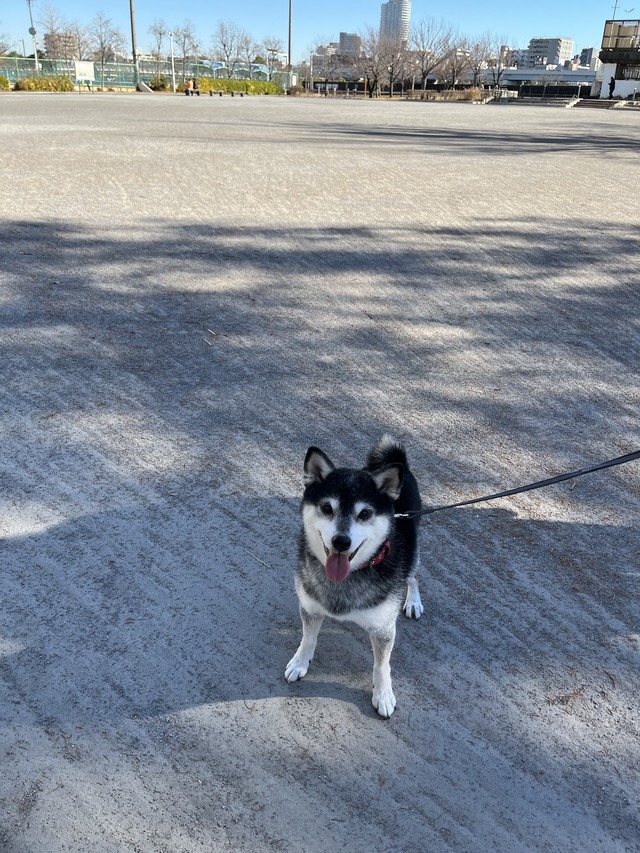 8746711E-CCA4-4BCF-AEA6-F81330FB2CAF