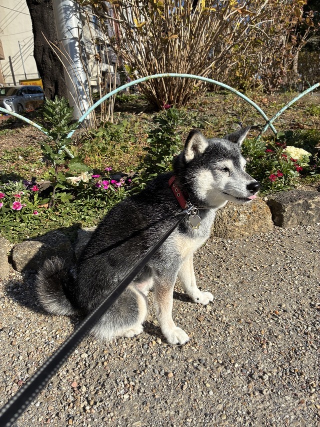 F7A59EBC-2A6D-4959-9126-71B5142083DB_1_105_c