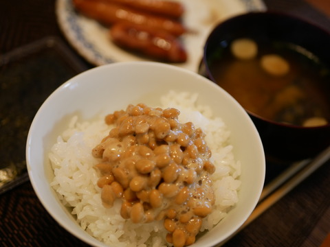 氷雨の納豆定食と犬皿