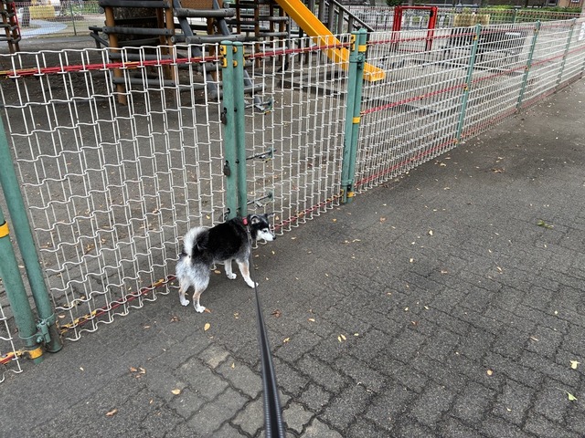 5C0AE664-7F46-4ED4-ABE9-C031C2A0E163_1_105_c