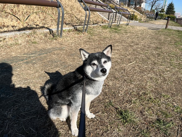 6422CB94-AC90-463A-AA5F-456706BEE449